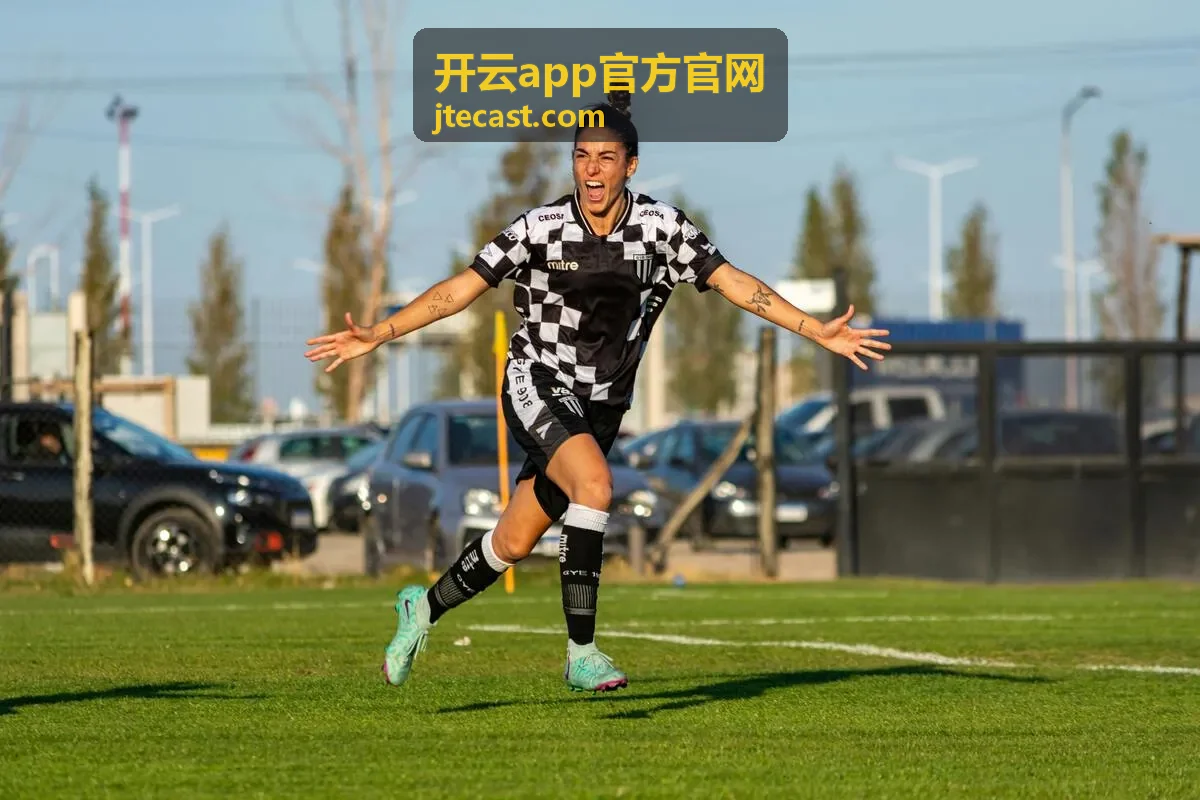 开云app官方官网账号与分组结构示意