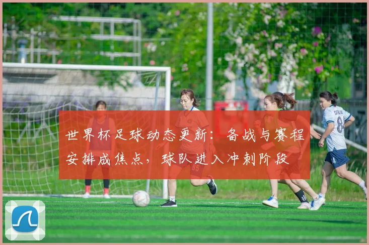 世界杯足球动态更新：备战与赛程安排成焦点，球队进入冲刺阶段