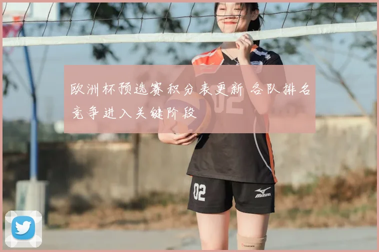 欧洲杯预选赛积分表更新 各队排名竞争进入关键阶段