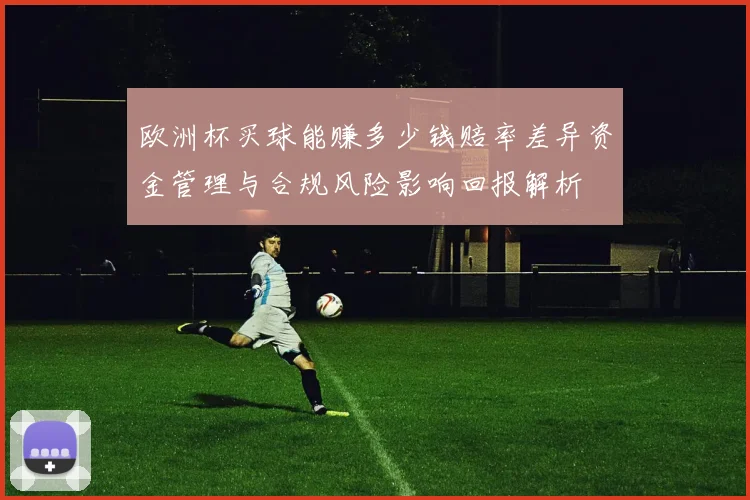 欧洲杯买球能赚多少钱赔率差异资金管理与合规风险影响回报解析