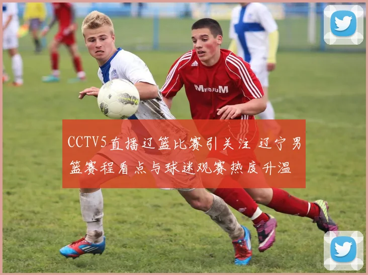 CCTV5直播辽篮比赛引关注 辽宁男篮赛程看点与球迷观赛热度升温