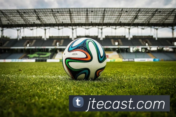 熊猫体育中国官方网站平台生态图